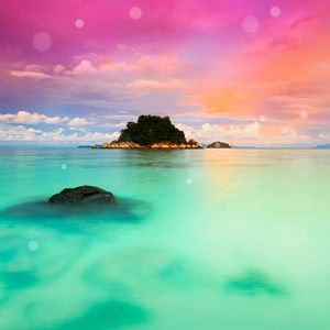 Meet your Posher, Eman